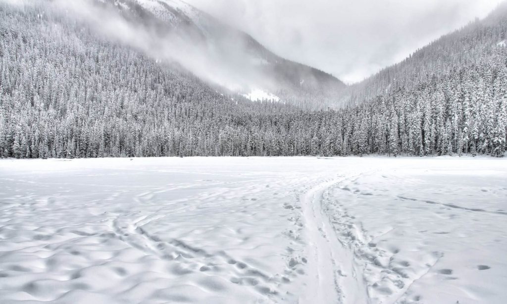 ice track