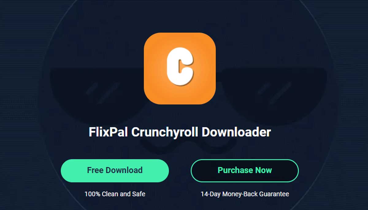 Flixpal Crunchyroll Video Downloader 2