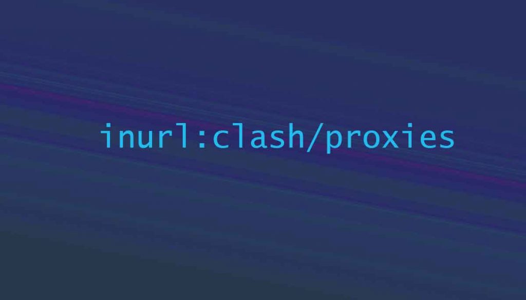 inurl:clash/proxies